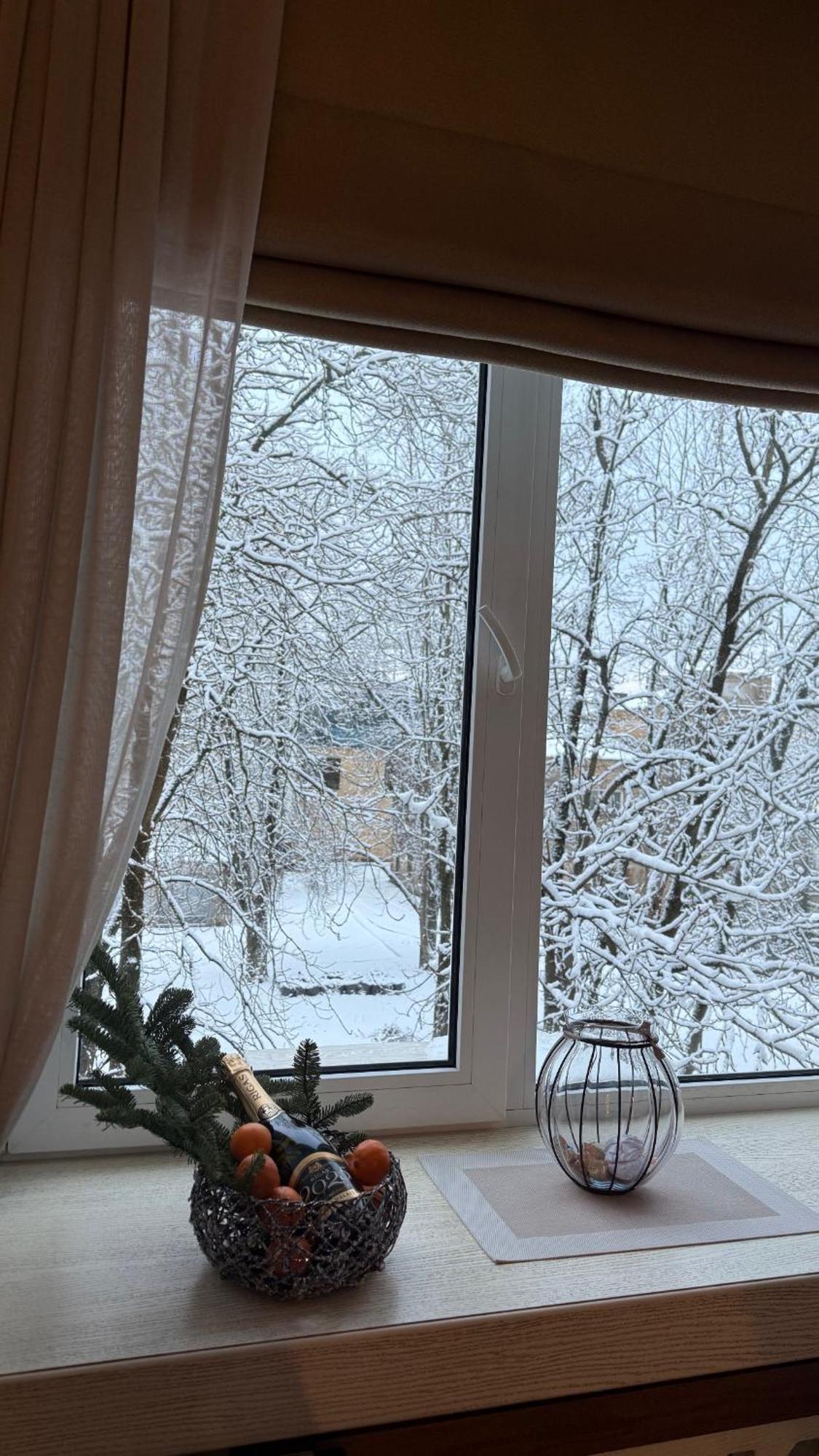 Cozy Studio Apartment In The Center Of Riga Exteriör bild