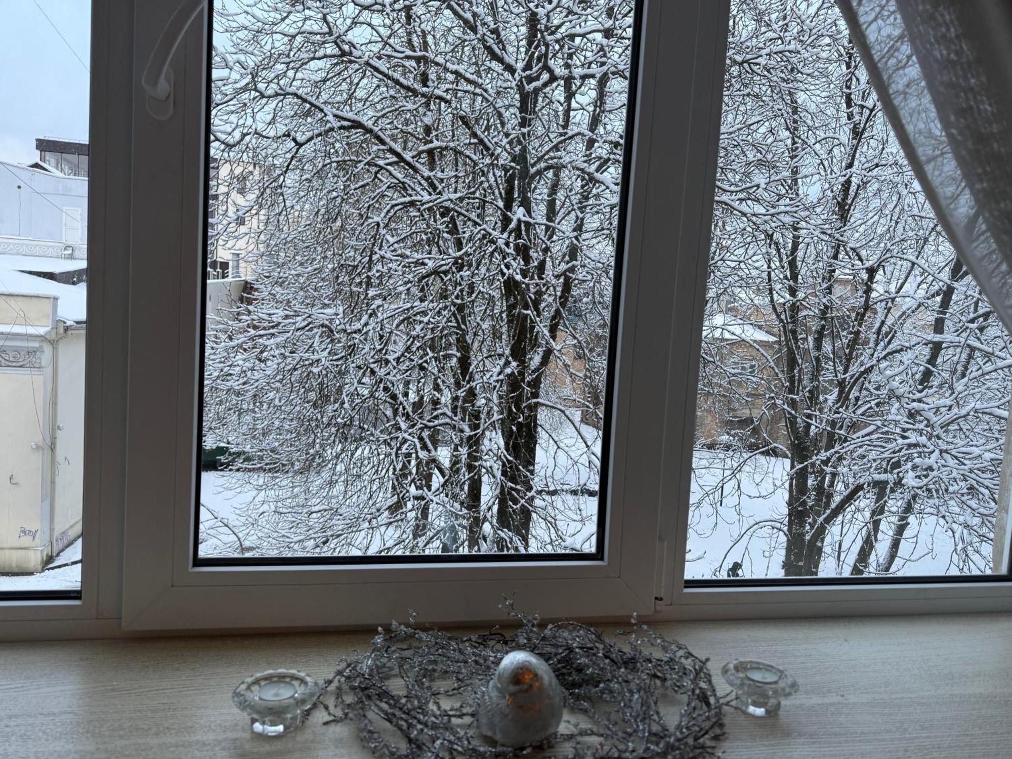 Cozy Studio Apartment In The Center Of Riga Exteriör bild